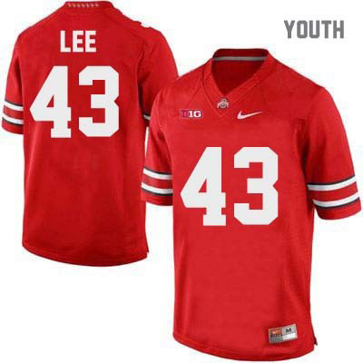 Ohio State Buckeyes Youth Darron Lee #43 Red Authentic Nike College NCAA Stitched Football Jersey CD19C83ZQ